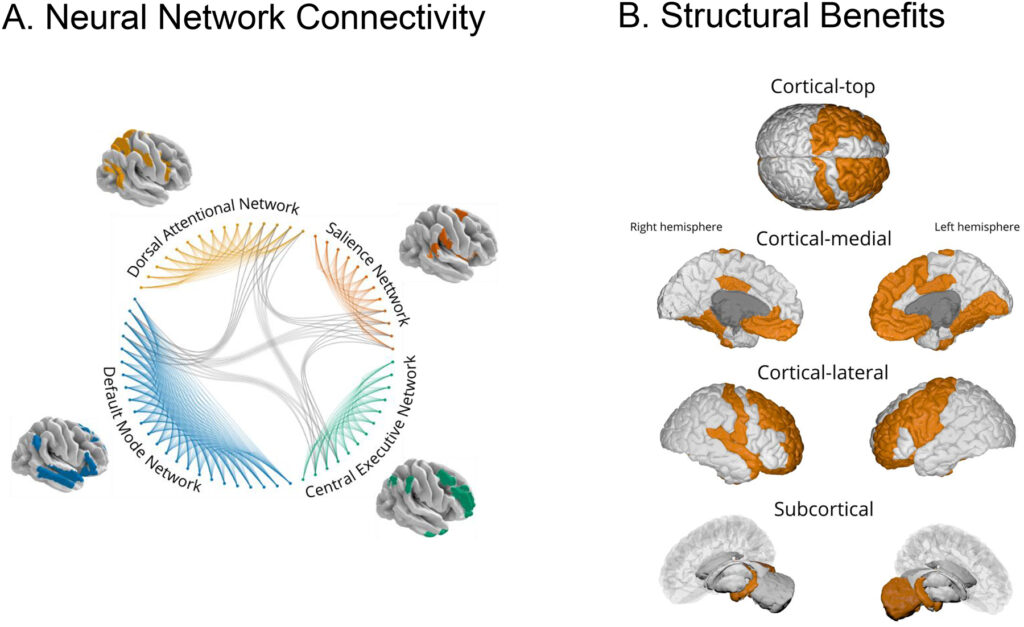 yoga_et_reseaux_de_neurone_voss_et_al_2022