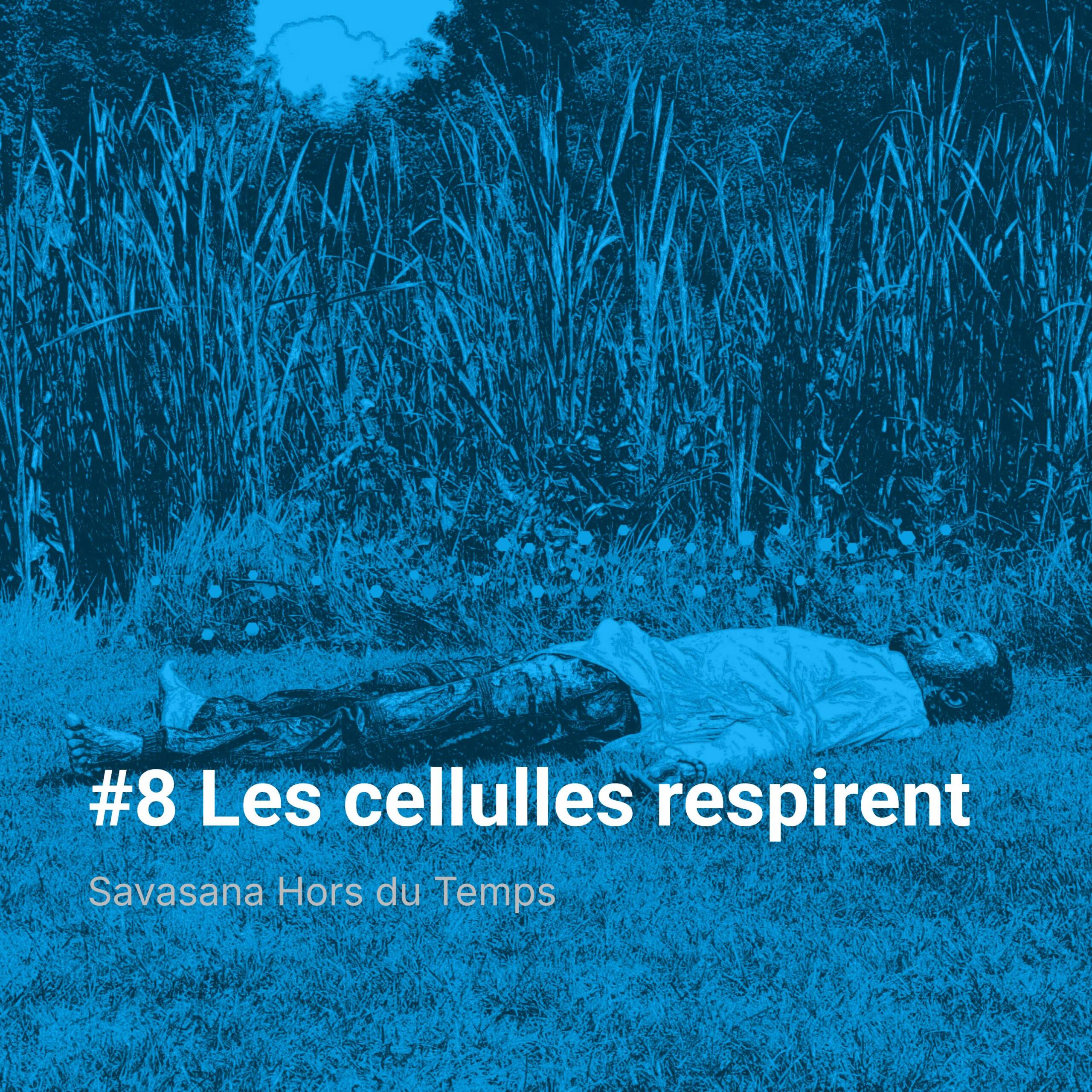 %238 Les cellules respirent